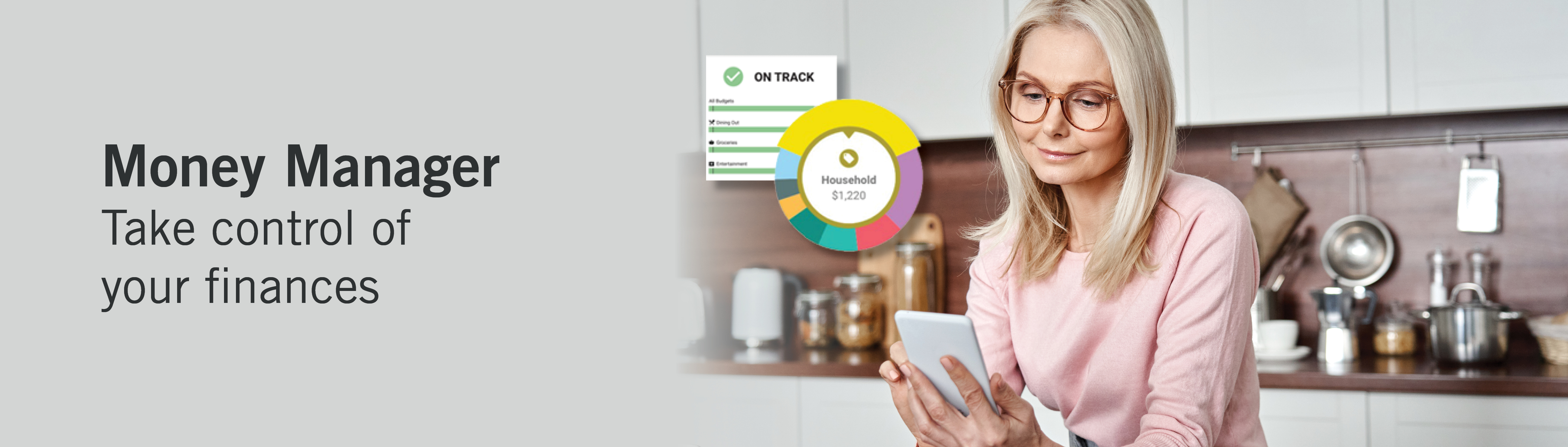 Money Manager take control of your finances.