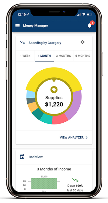 TBER_Business_Digital-Banking-App_Money-Manager.jpg