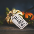Image of small pumpkins with tag that says, "Thankful"
